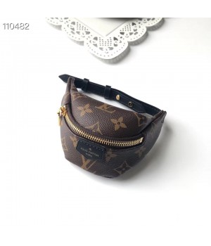 Louis Vuitton Monogram Canvas Mini Bag M43648