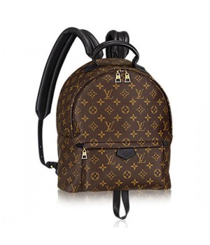 Louis Vuitton M41561 Palm Springs Backpack MM Monogram Canvas