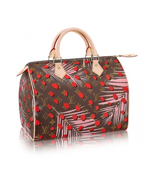 Louis Vuitton M41983 Speedy 30 Tote Bag Monogram Canvas