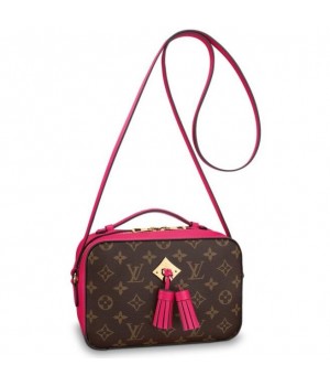 Louis Vuitton Freesia Saintonge Bag Monogram M43557