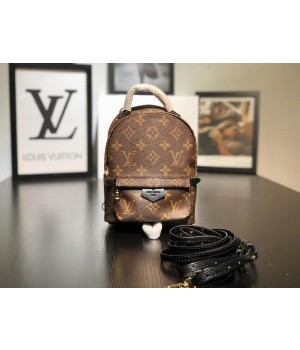Louis Vuitton Backpack WQMINI