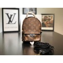 Louis Vuitton Backpack WQMINI